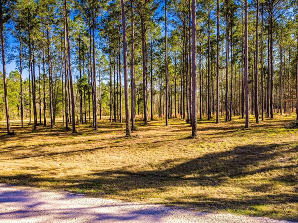 Rolling Pines Dr, Livingston, TX 77351