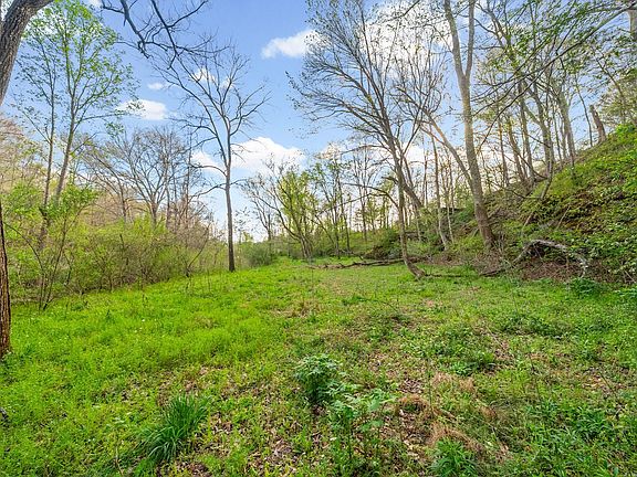 4th image of 4 Bud Parker Ln Lot 4
