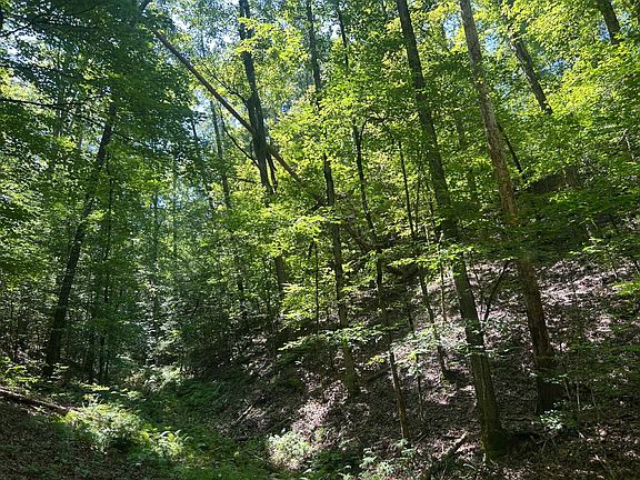 45th image of this home