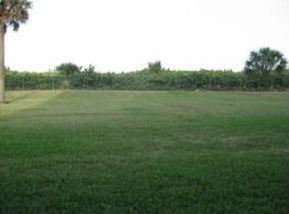 545 Garfield Ave APT 101, Cocoa Beach, FL 32931