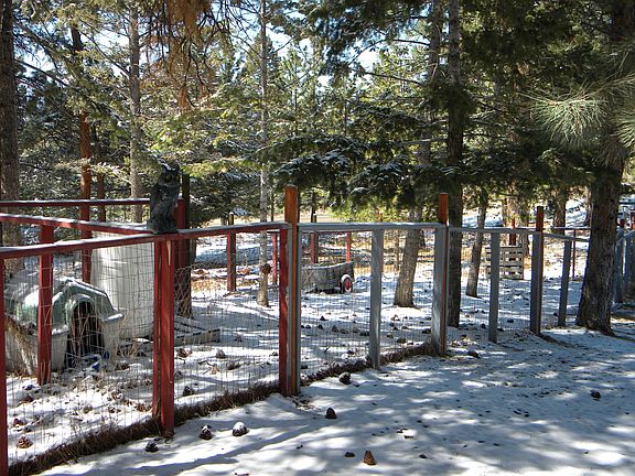 dog run
