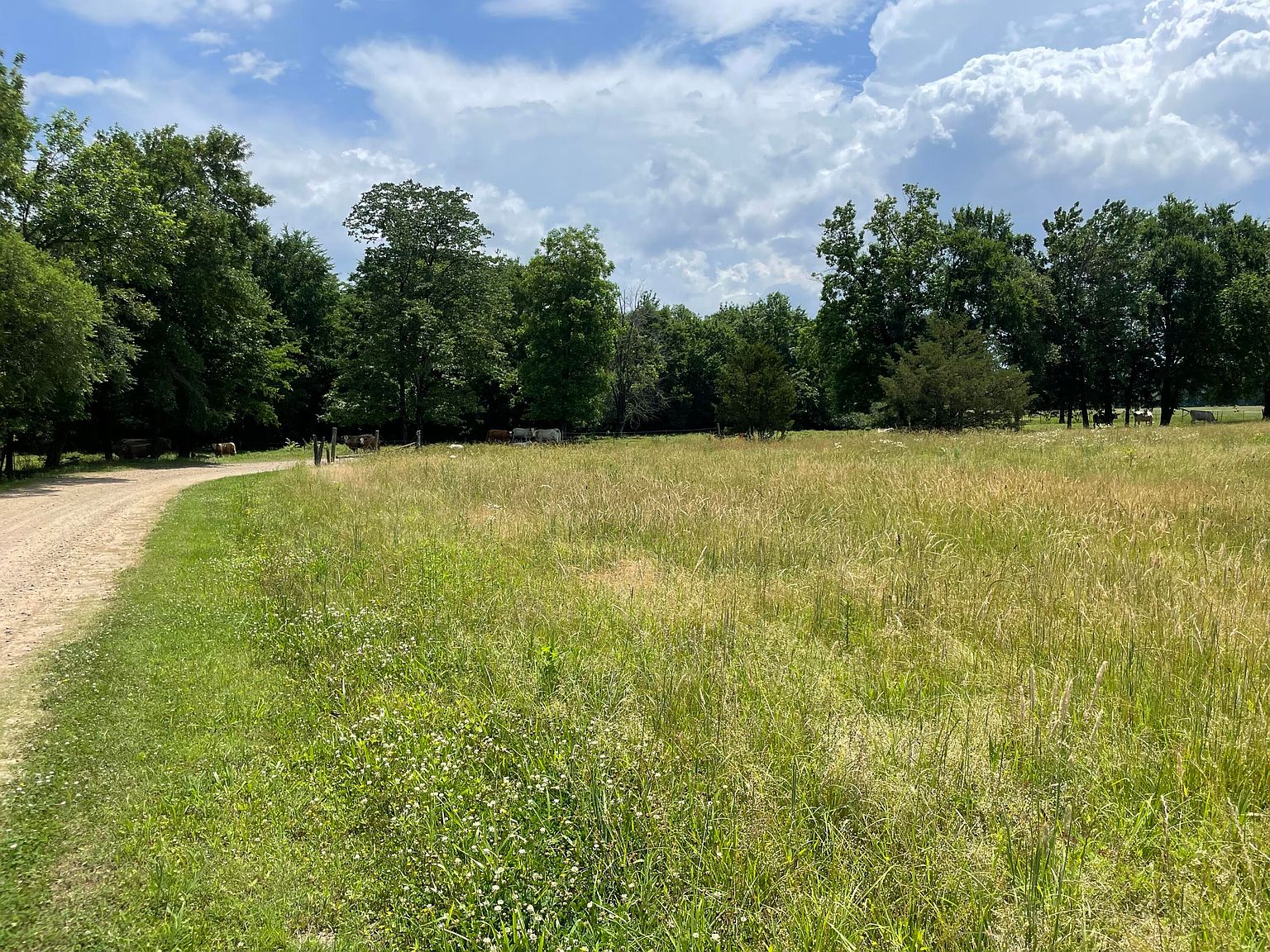 1 Acre Railroad St, Coal Hill, AR 72832 Zillow