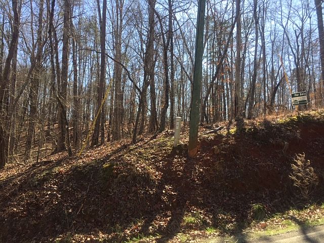 2nd image of 7429 Dogwood Trl Lot 0