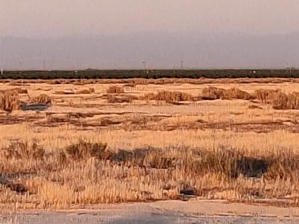 0 Pond Rd, Wasco, CA 93280