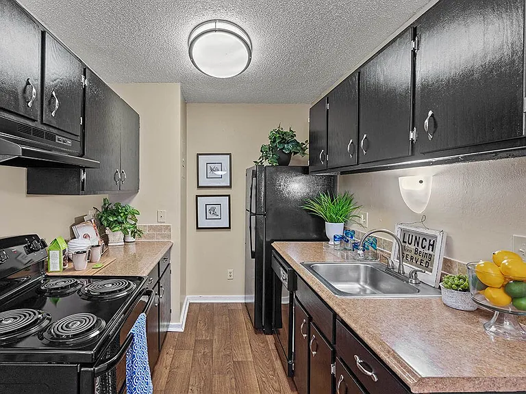 High Efficiency Dishwasher