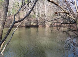 0 Blazing Star Rd, Ellijay, GA 30540