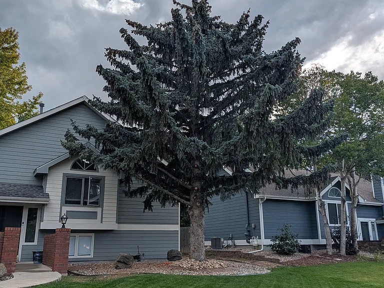 1713 Sagewood Dr — Photo 10
