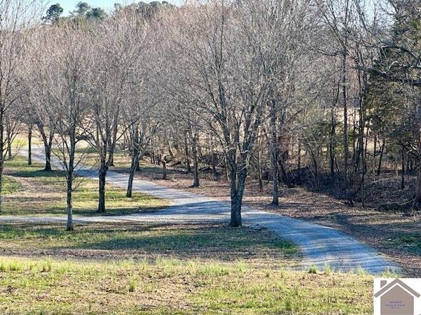 4590 Airport Rd, Almo, KY 42020