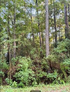 Stockton Cir, Gautier, MS, 39553