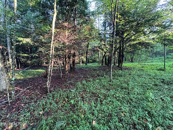 3rd image of Davis Rd