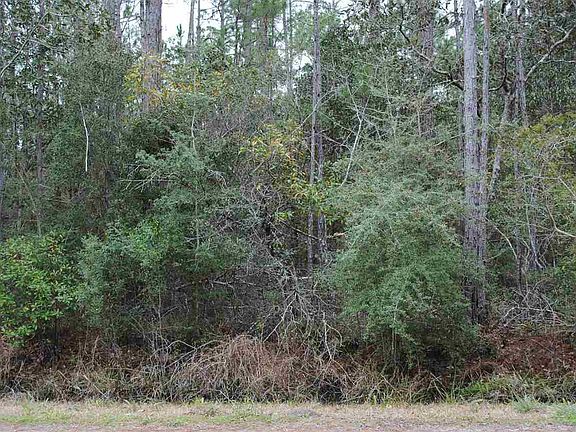 2nd image of 0 Couey Rd