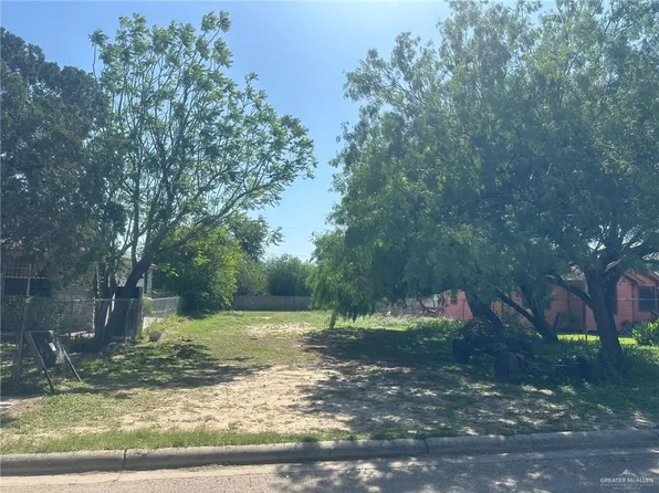 2411 Ala Blanca Ave, Mission, TX 78572