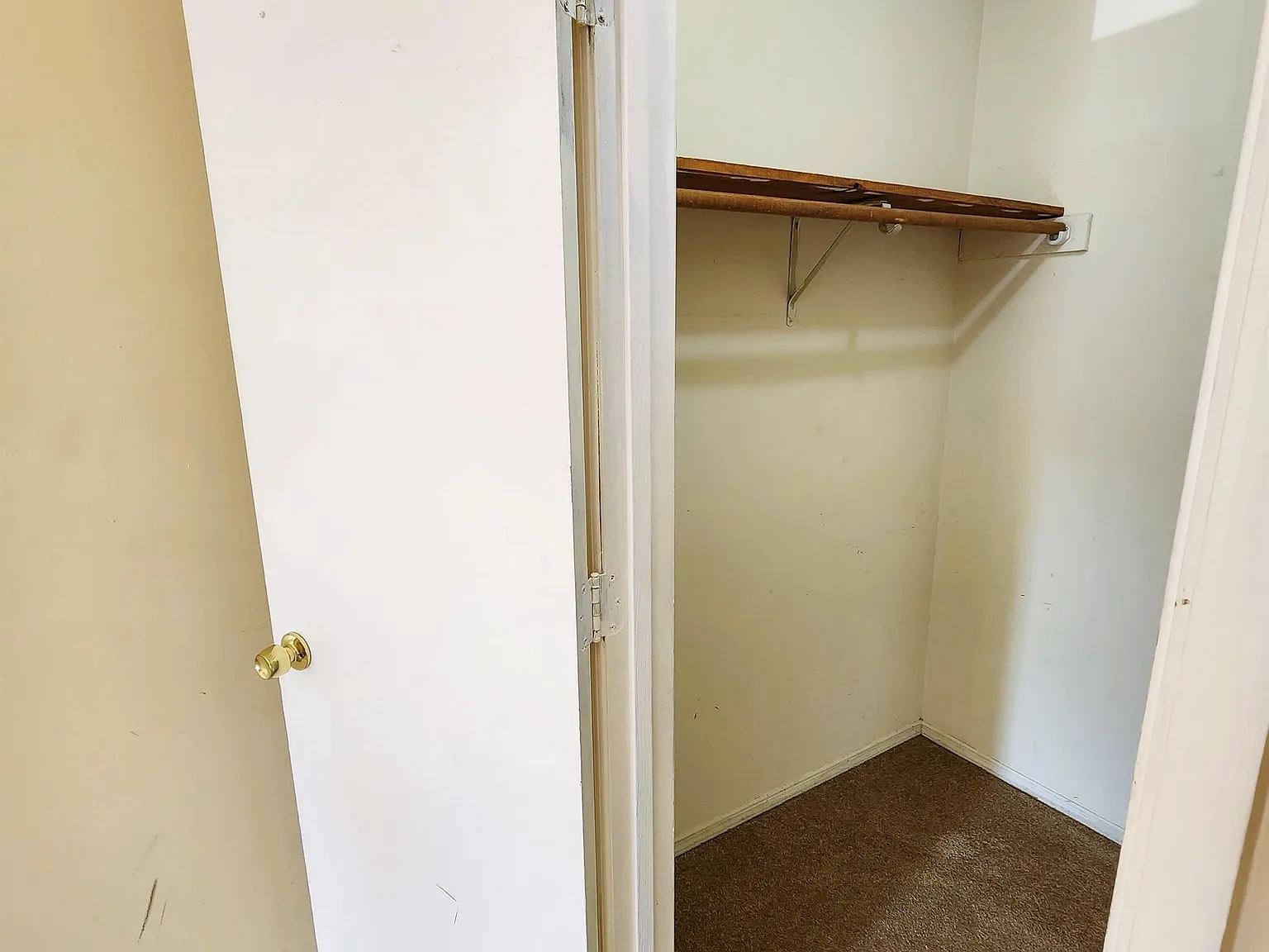 606 Pine Tree Trail - 4 — Photo 4
