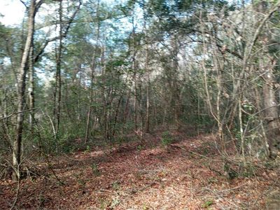 7092 Elaine Dr Lot 20, Webster, FL, 33597