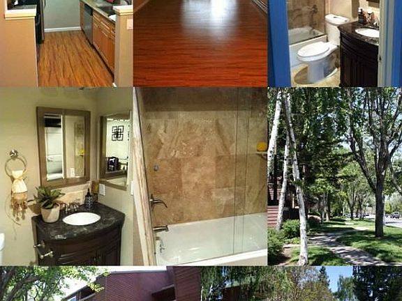 4th image of 977 Catkin Ct