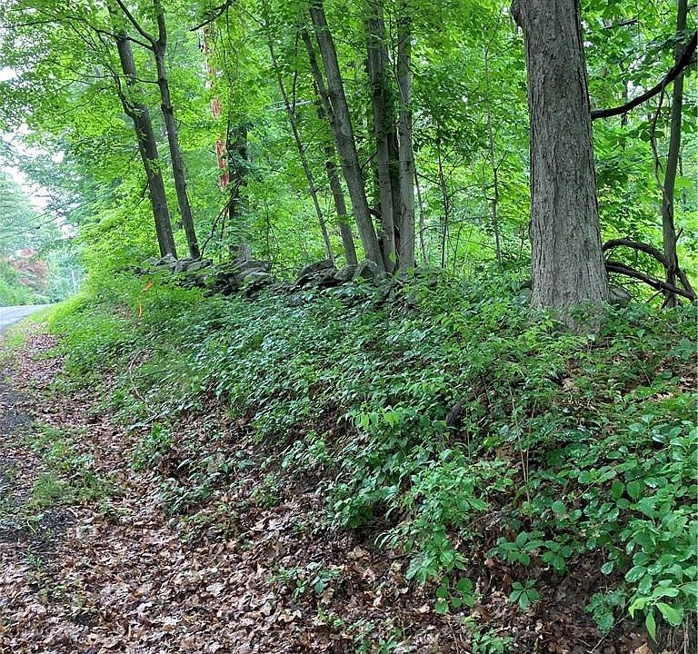 1st image of 471 Stormville Mountain Road
