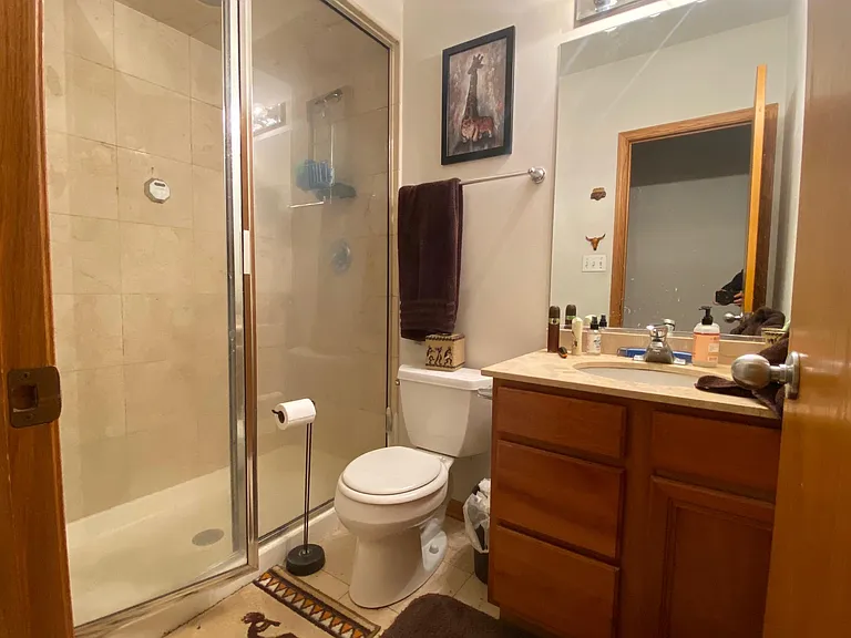 903 W Lawrence Ave #1E — Photo 10