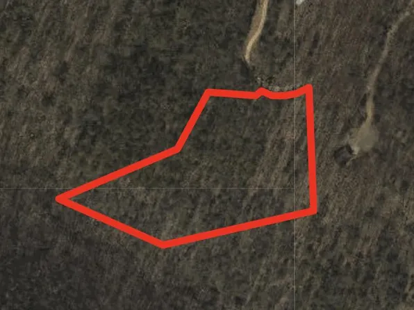 7 Berry Mountain Ln, Mathias, WV 26812