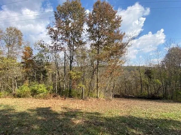 755 Galbraith Rd, Brooksville, KY 41004