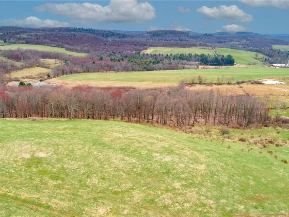 Lot 3.2 Peters Road, Fremont Center, NY 12736