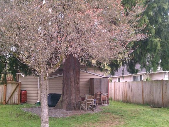 Kitchen has all appliances including washer & dryer. Good sized utility room off of kitchen. Door leads to fenced backyard.