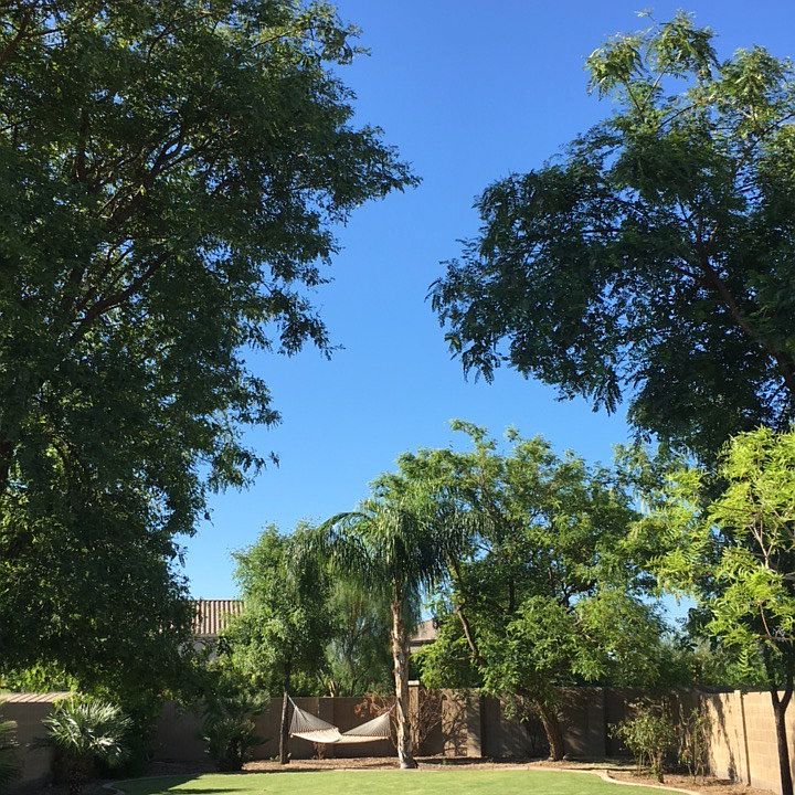 2nd image of 11563 W Gregory Dr