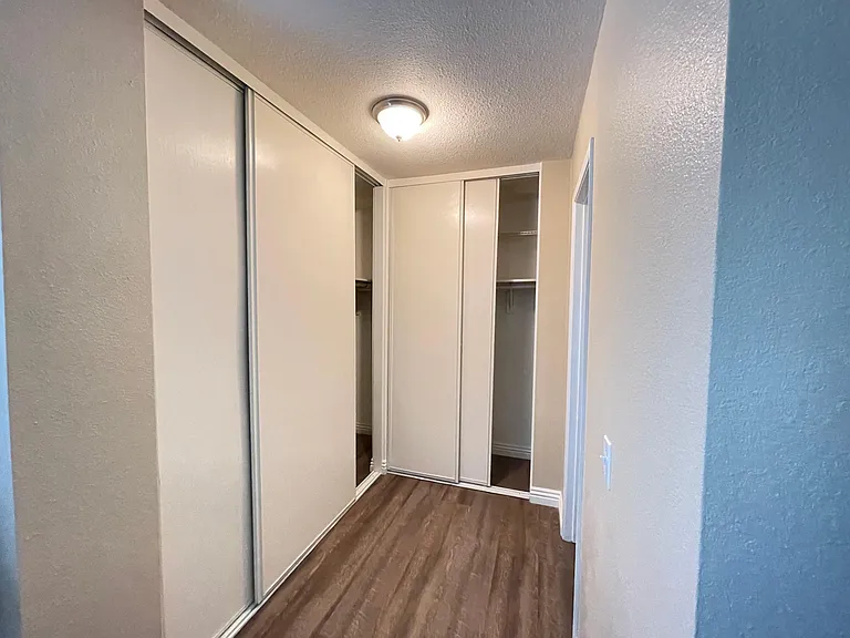Master bedroom - double closet