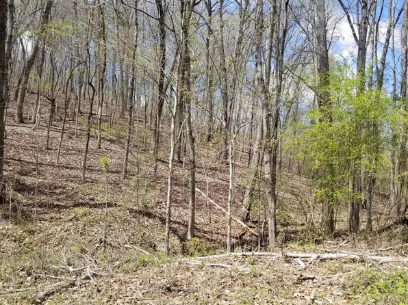 286 Maple Dr, Spring City, TN 37381