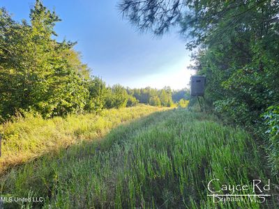Cayce Rd, Byhalia, MS, 38611