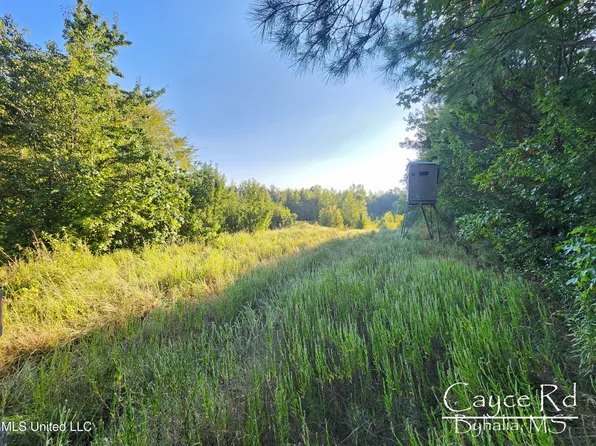 Cayce Rd, Byhalia, MS 38611