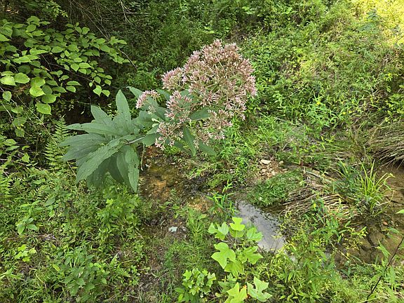 3rd image of 0 Webb Rd Lot 2