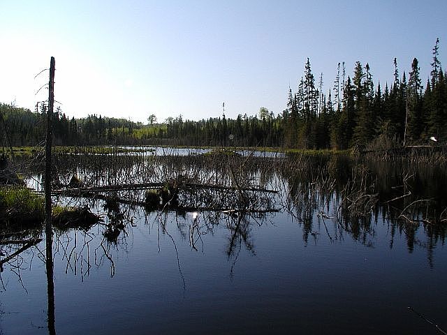 east beaver pond