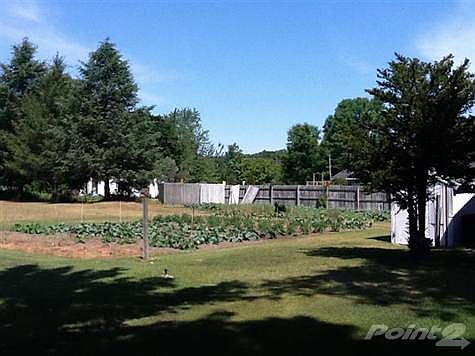 Vegetable garden #1