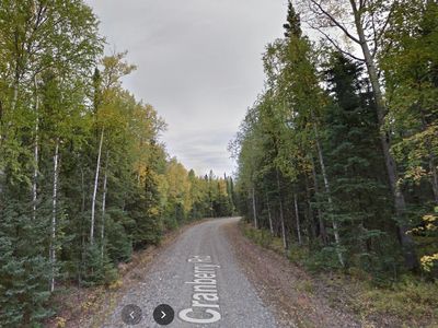 L44 E Cranberry Rd, Delta Junction, AK, 99737