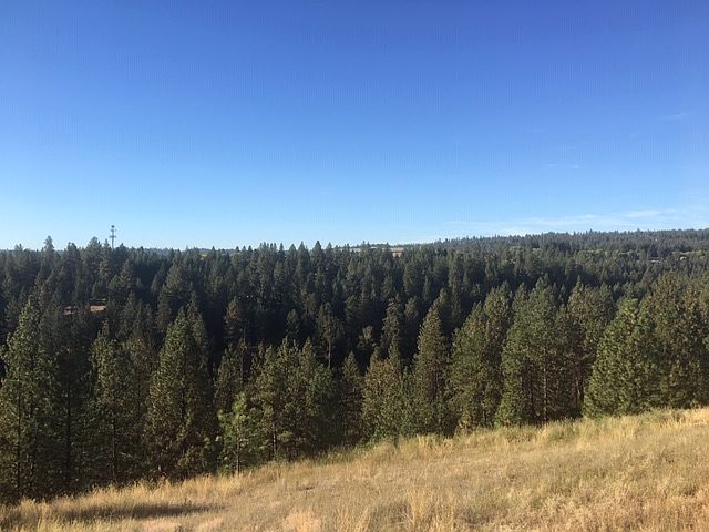 one of the views