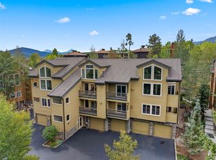4020 Silverheels Drive UNIT 9, Silverthorne, CO 80498