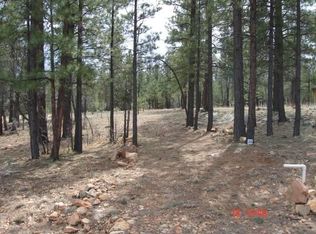 2741 Javalina Cir, Happy Jack, AZ 86024