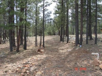 2741 Javalina Cir, Happy Jack, AZ, 86024