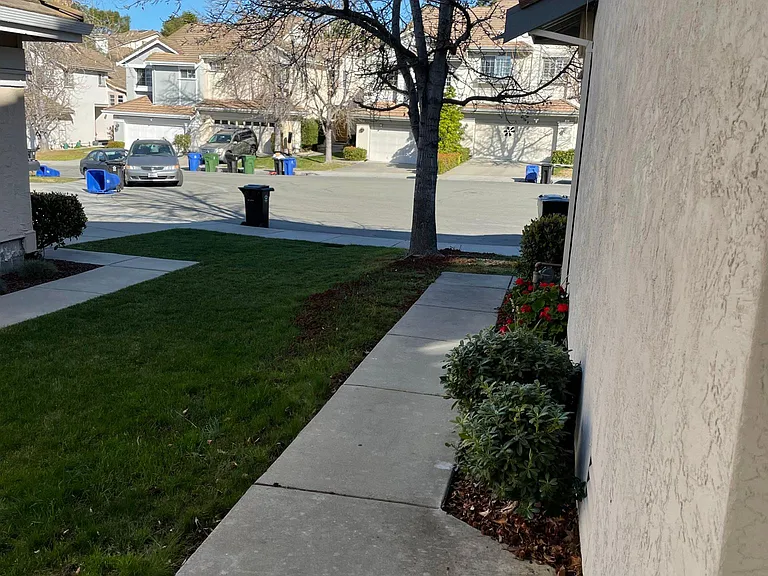 165 Doe Ct — Photo 22