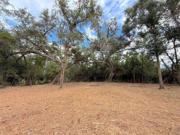 LOT 12A2 County Road 345, Brazoria, TX 77422