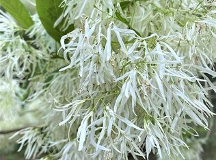 1985 Baker Church Rd, Rentz, GA 31075