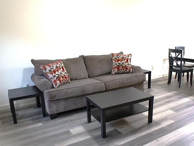 1235 Sweet Pine Dr — Photo 3