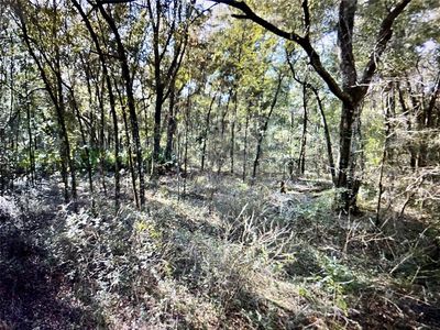 0 Ne 8th St, Williston, FL, 32696