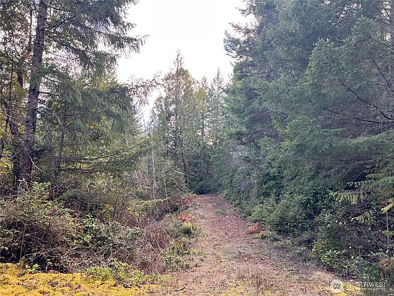 4th image of 59 X Moose Mountain Road