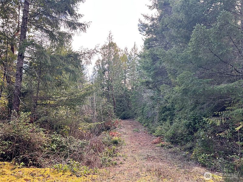 4th image of 59 X Moose Mountain Road