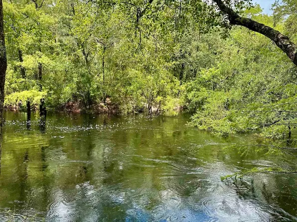 274 Mount Beasor Rd, Sopchoppy, FL 32358