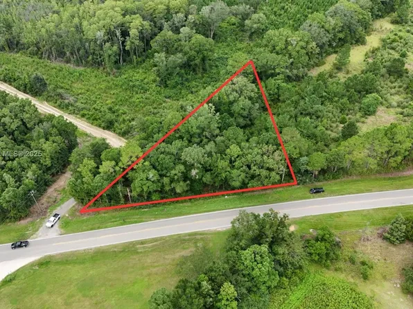 0 Pate Pond Rd, Caryville, FL 32427