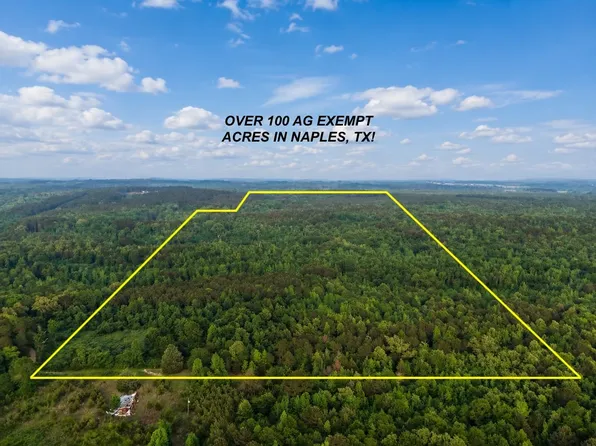 County Road 2742, Naples, TX 75568