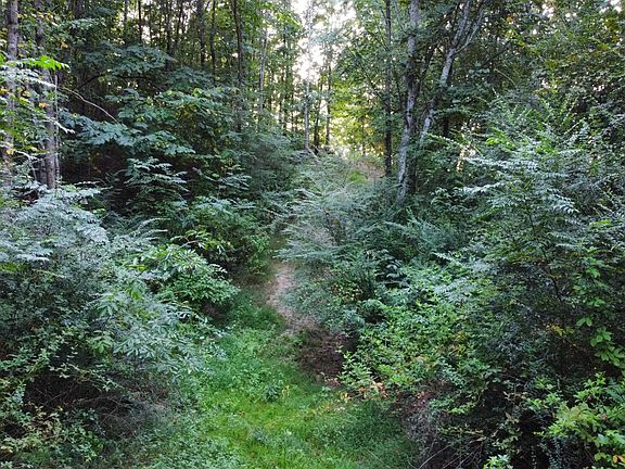5th image of 71 & 77 County Road 338