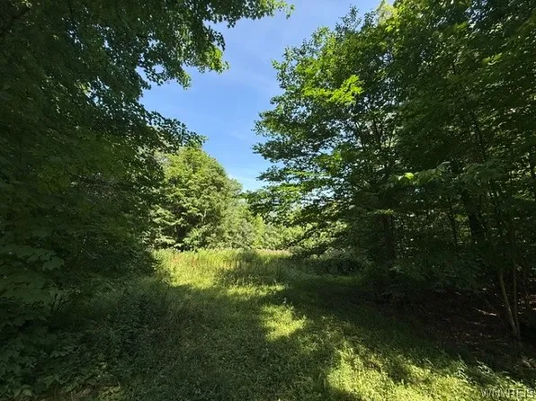 Syler Rd Lot 78, Varysburg, NY 14167